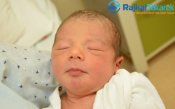 Pribránszki Huba, 3070 gr. Mosonszolnok