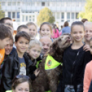 XII. Elfogadás napja Mosonmagyaróvár