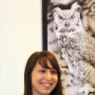 Moson Megyei Tárlat 2016 kiállításának megnyitója (Fotó: Stipkovits Veronika)