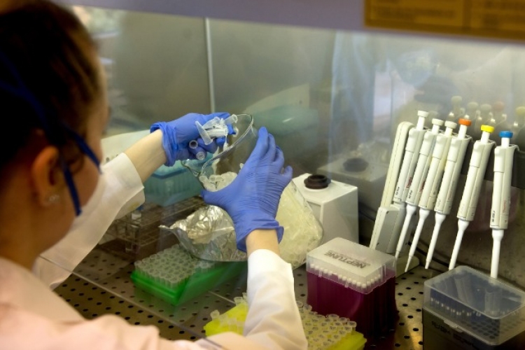 Az antigénalapú gyorstesztek alkalmazását szorgalmazza az Európai Bizottság 