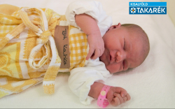 Tóth Katica, Jánossomorja