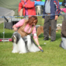 CAC kutyakiállítás (Fotó: Nagy Mária)