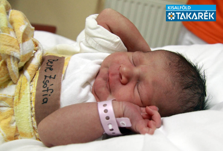 Bene Zsófia, Mosonmgyaróvár