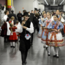 Fölszállott a páva 2016 döntő