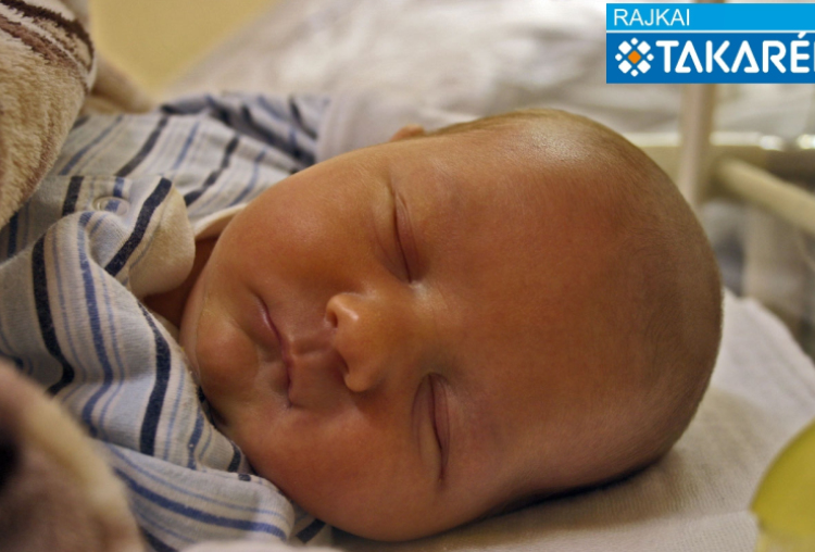 Csapó Csongor Dániel, Kapuvár