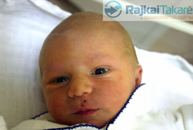 Schriffert Bence, Mosonmagyaróvár