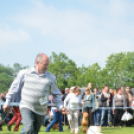 CAC kutyakiállítás (Fotó: Nagy Mária)