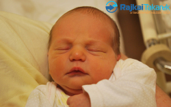 Gerebenics Kristóf, 3230 gr. Jánossomorja