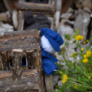 VI. Apró kezek, Csodakertek Gyermek Kertépítő verseny (Fotó: Bánhegyi István)