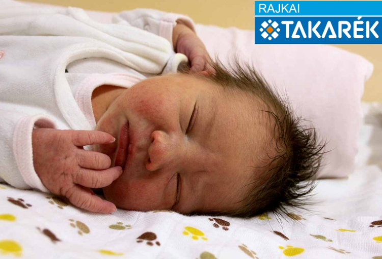 Horváth Léna, Mosonmagyaróvár