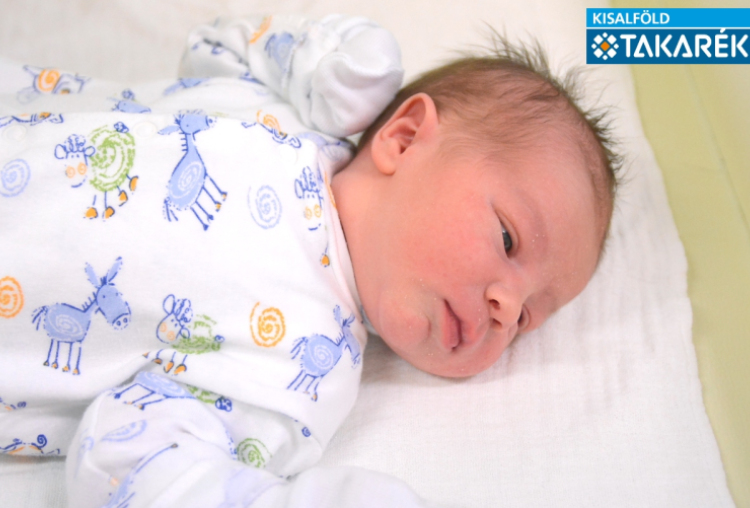 Drahos Bence, Mosonmagyaróvár