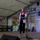 Szigetköz ízei, vármegye borai fesztivál / VÁRMEGYE SZÉPE - VÁRMEGYE HANGJA (Fotó: Horváth Attila)