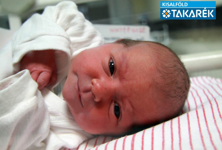 Benitsch Csenge, Máriakálnok