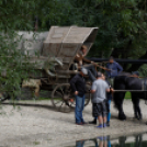 Vándorszínészek Dunaszigeten (Fotó: Horváth Attila)