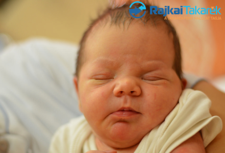 Knolmár Gergő, Csorna