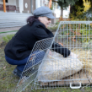 Márton nap a Móra Ferenc Általános Iskolában