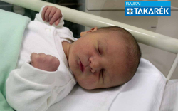 Gavajda Péter, Dunasziget