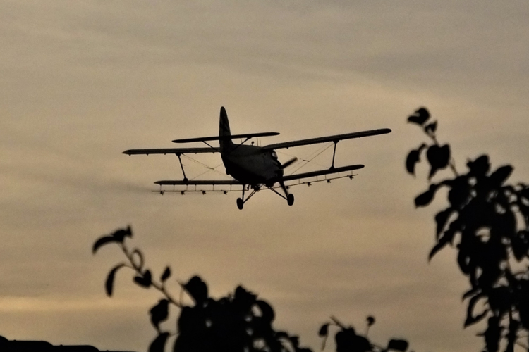 Az ünnep hetén is gyérítik a szúnyogokat