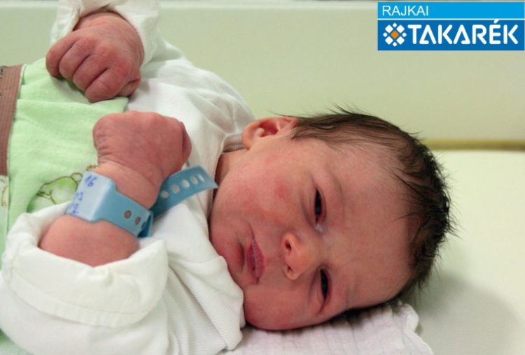 Tóth Ákos, Bősárkány