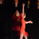 Ünnepi gálaműsor a tánc világnapja tiszteletére - Szigeti Gábor táncpedagógus emlékére