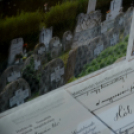 Emlékezzünk a Nagy Háborúra (Fotó: Bánhegyi István)