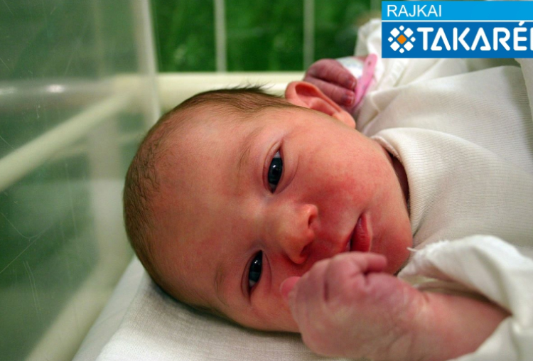 Hideghéty Anna, Halászi