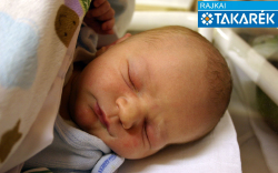 Virág Domonkos, Csorna