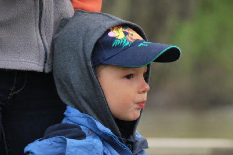 II. Mosoni Fűnyírótraktor Verseny  (Fotó: Nagy Mária)