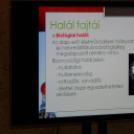 Szer-telen Ifjúság Napja 2014