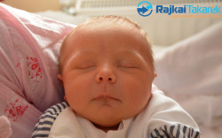 Mihalik Zétény, 3760 gr. Jánossomorja