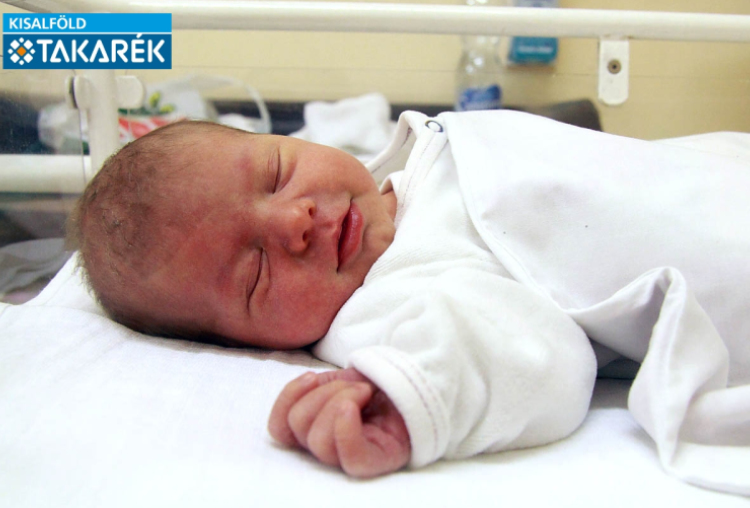 Fördős Réka, Mosonmagyaróvár