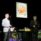 II. Dobos és Ütőhangszeres nap