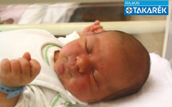 Dániel Álmos, Ásványráró