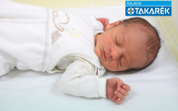 Bodi Róbert Patrik, Mosonmagyaróvár