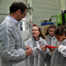 Kőrisfacsemetéket ültettek a diákok a Nolato Magyarország Kft telephelyén