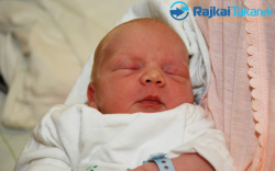 Györi László Gyula, 3450 gr. Jánossomorja