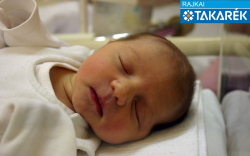 Lovas Rozi, Mosonmagyaróvár