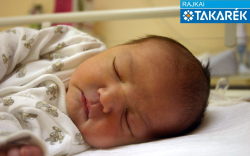 Darázs Bence, Bezenye