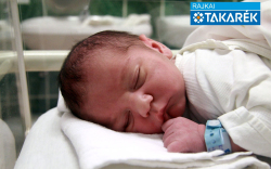 Peredi Márton László, Mosonmagyaróvár