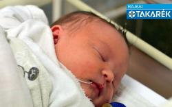 Meszlényi Hanna, Mosonmagyaróvár