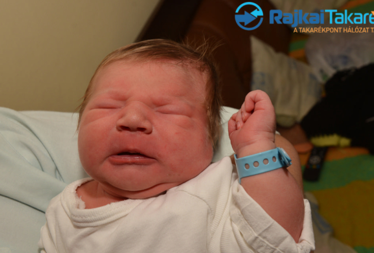 Kiss Baranyi Belián, 3980 gr. Mosonudvar