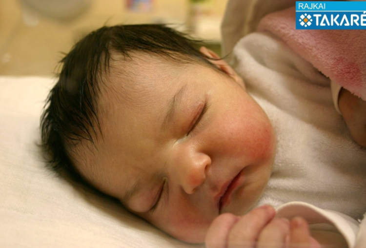 Gál Dorina Mia, Jánossomorja