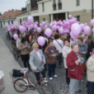 Egészség Hídja Összefogás - Lajtahidi séta