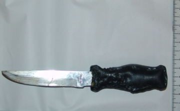 Egy konyhakéssel szúrta mellkason ivócimboráját