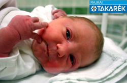 Kálé Abigél Judit, Mosonmagyaróvár