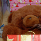 Lions ajándék átadó a Corvinában (fotó: Horváth Attila)