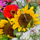 Kult Gála a Kult-Utcában (Fotó: Horváth Attila)