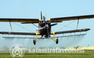 Megyénk három térségében folytatódik az irtás hétfőtől 