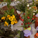 Termény- és virágkiállítás 