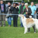 CAC kutyakiállítás (Fotó: Nagy Mária)